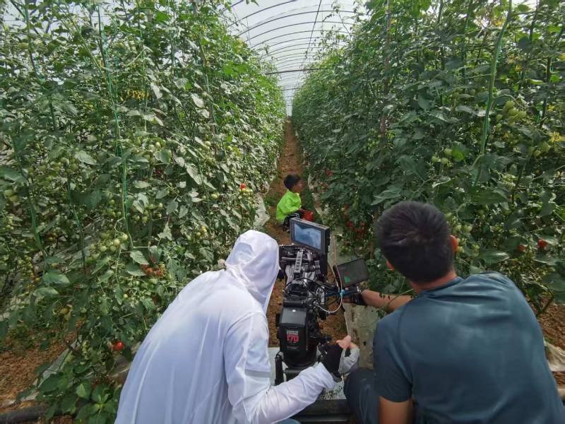 岳池县产品宣传视频拍摄公司进阶指南，助力品牌抢占传播高地